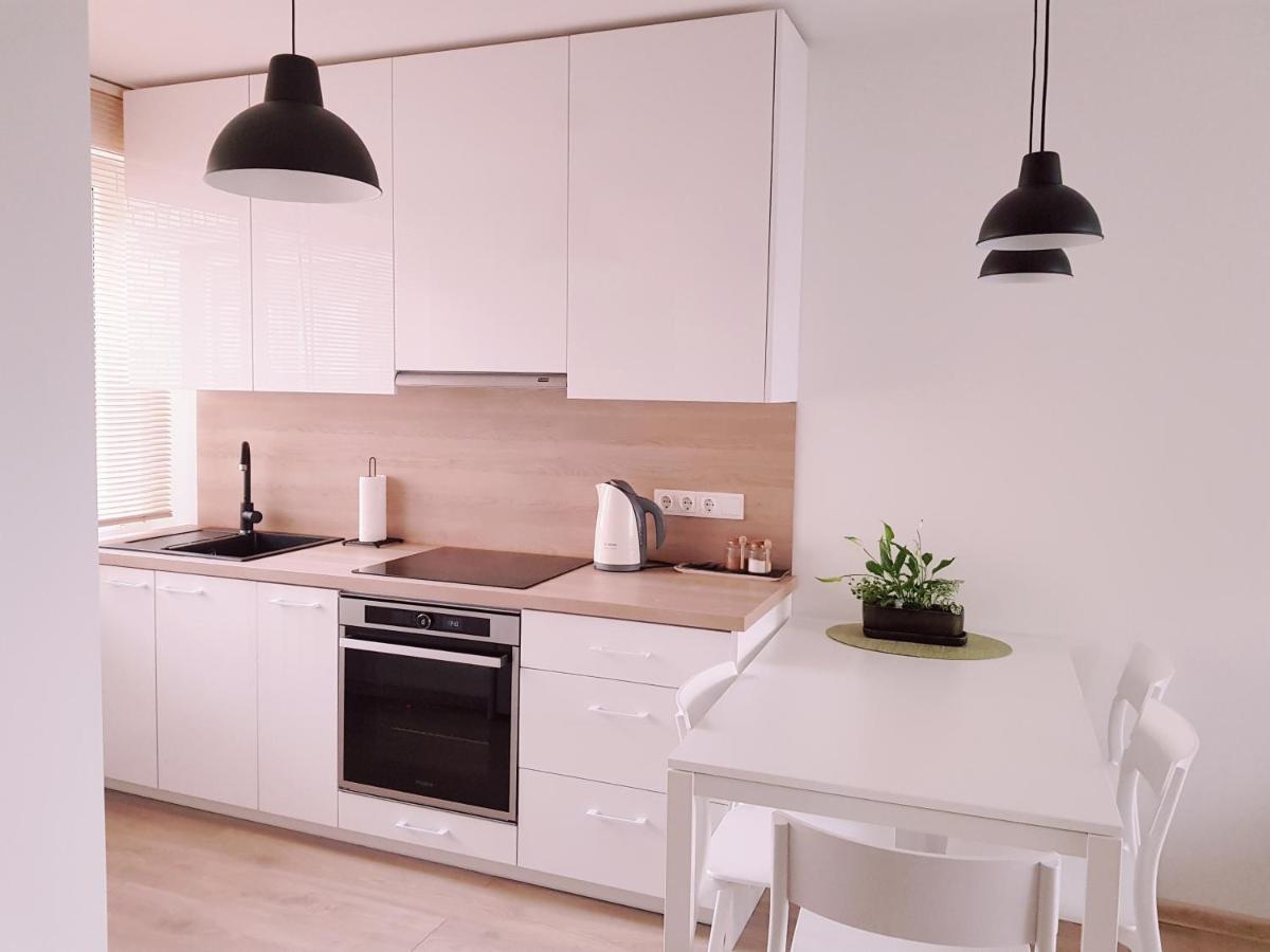 New City Center Apartments Druskininkai Dış mekan fotoğraf